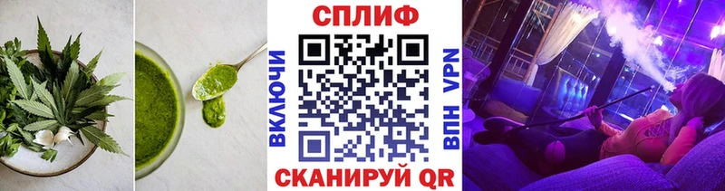 omg онион  Зуевка  Canna-Cookies марихуана  как найти закладки 