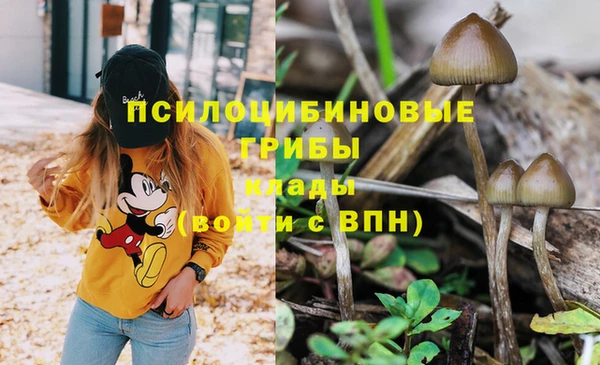 винт Армянск