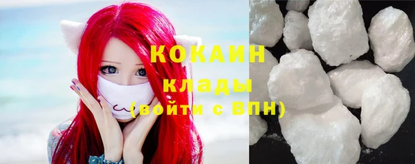 твердый Арсеньев