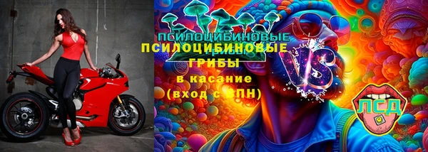 винт Армянск